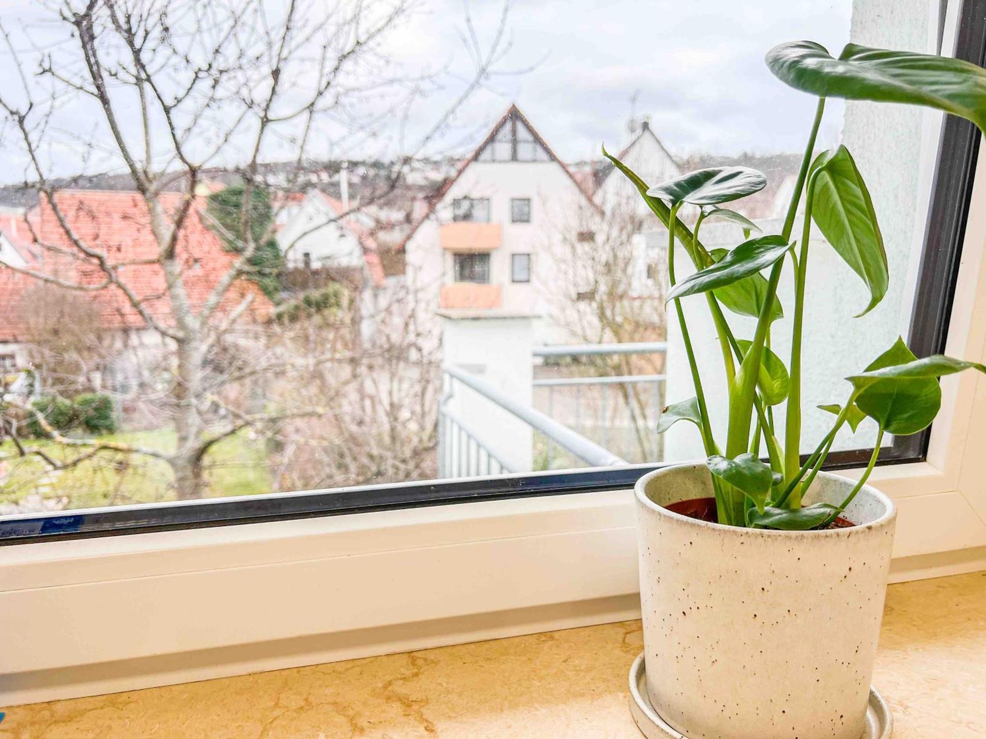 City Apartments غيرلينغن المظهر الخارجي الصورة